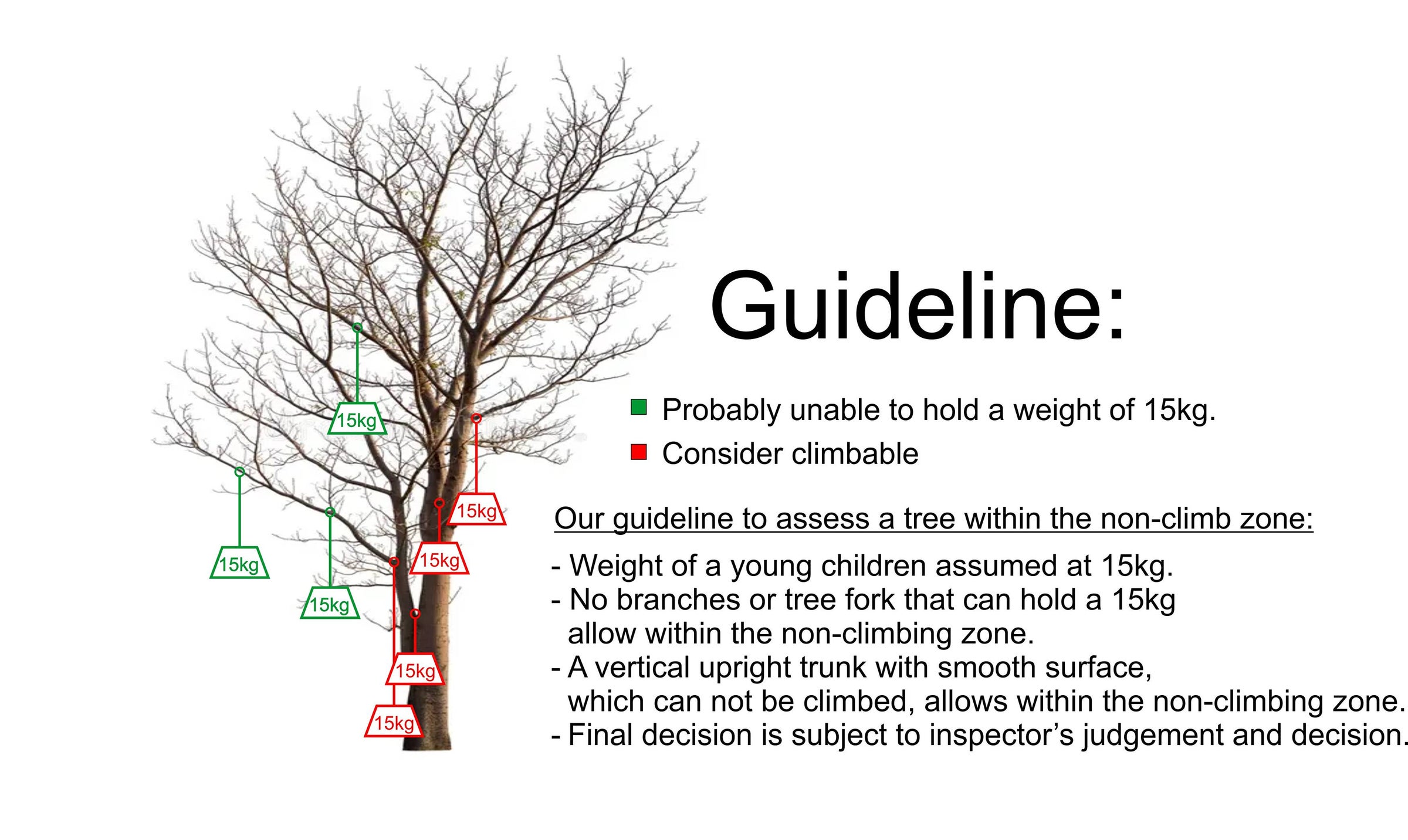 Tree Guide Line Tree within non-climbing zone | My Home Pool Safety Inspection